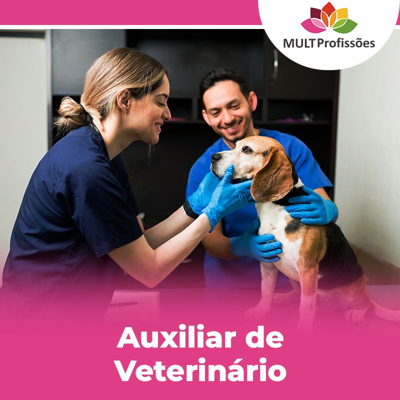 Auxiliar de Veterinário